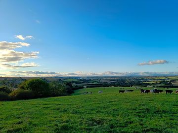 Views over the countryside in the late afternoon