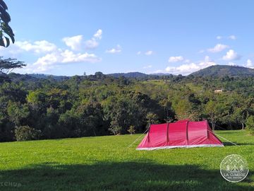Spacious grassy pitches