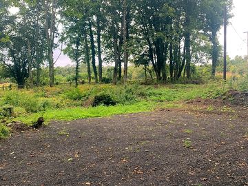 Pitch sheltered by trees