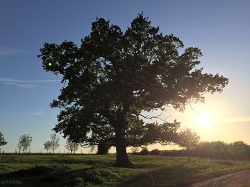 Sunset on site