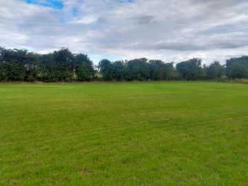Back of the site
