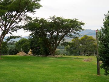 Spacious grassy pitches