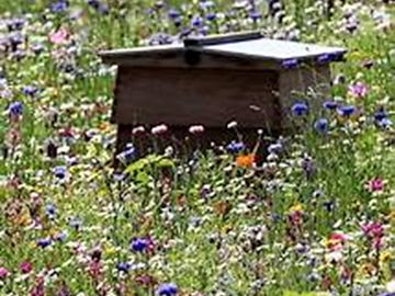 Honey produced and sold on-site – bee-ware of the hives