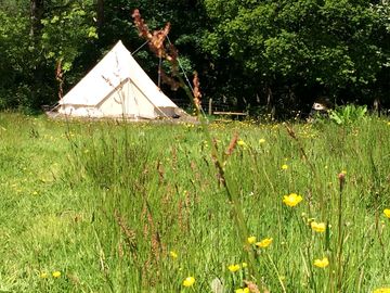 Onnen in the small hay meadow