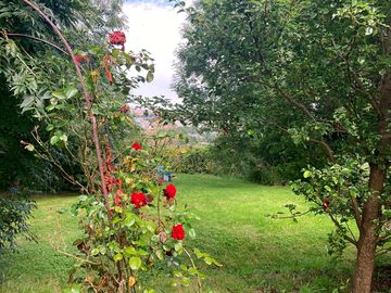 Rose arch over looking your camping space
