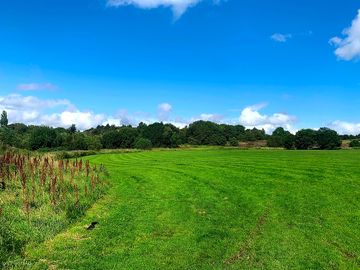 Site