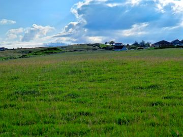 Campsite view