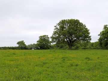 Suffolk rural breaks