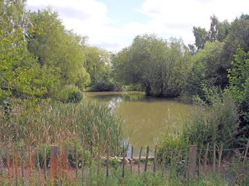 Heron pond