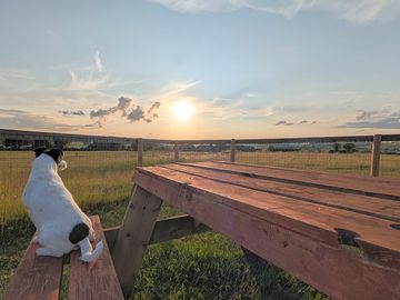 Watching the sunset