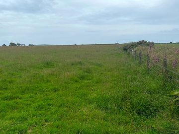 Direct moorland access