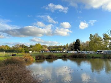 View from the pond