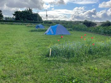 Lots of room to play rounders or have a picnic at our pretty pop-up camp.