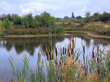 Nature reserve and lake at the bottom of the vineyard.