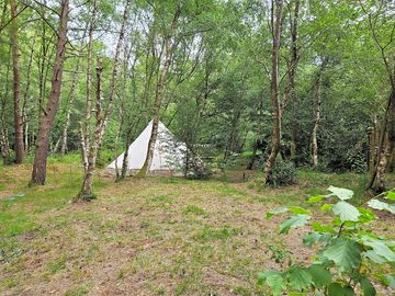 General view of bell tent