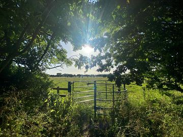 Lots of local country walks
