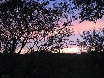 Evening sunset