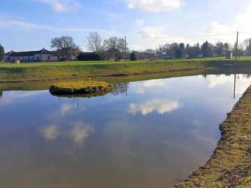 View from the strip pond