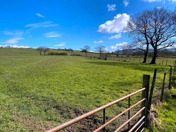 Camping field