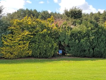 Sheltered pitches
