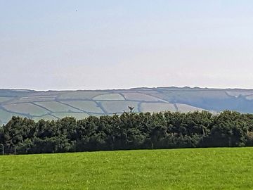 Patchwork of fields