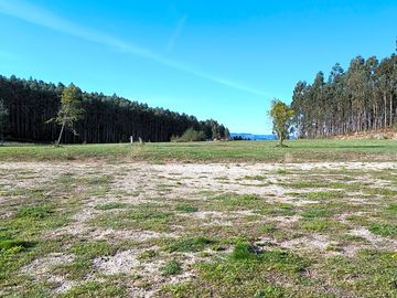 Dog play area