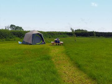 Tenting 2025