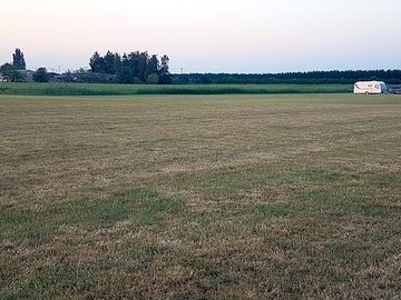 View of the site