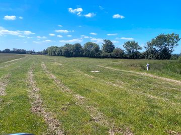 View of the site