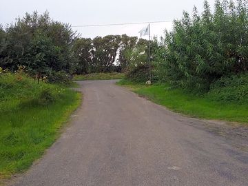 Around the site