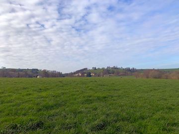 Tent camping in the devon countryside