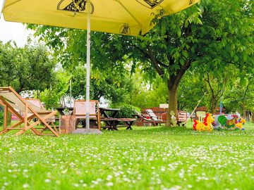 Shaded area under the trees
