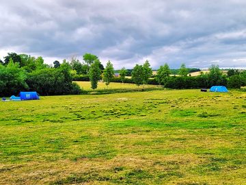 Lots of space between pitches