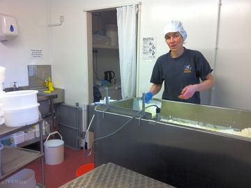 Cheese making at the campsite every other tuesday