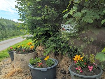 Entrance to the site