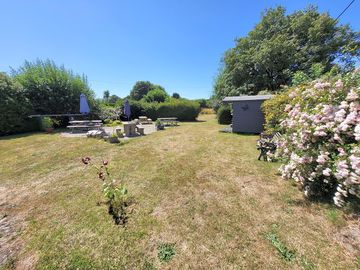 The garden