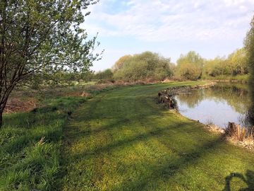 Plenty of spots around the family lake to pitch up