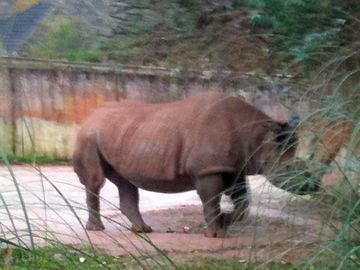 Paignton zoo, the second largest in the uk
