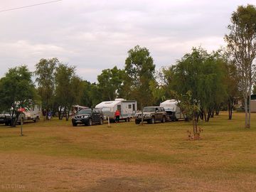 Trees around the site for shade