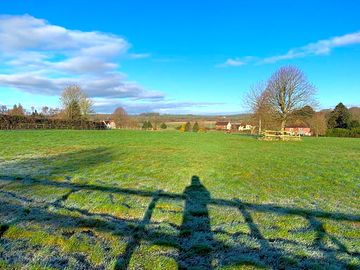 The site in spring