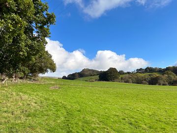 Fields