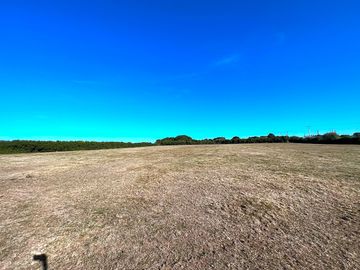 View of the site