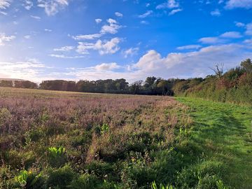 Lovely field