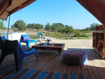 Lodge with views of the olive groves