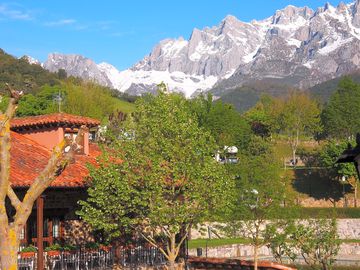 Bar-restaurant terrace