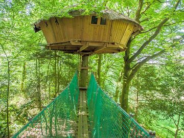 Treehouse nine metres from the ground