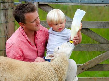 Lambs and dad