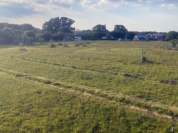 Agroecological camping - nut orchard establishing
