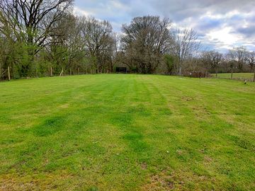 Grass pitches