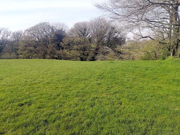 Camping pitches